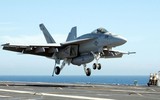 Tình tiết bất ngờ vụ phi công F-18E Mỹ diệt Su-22 Syria vừa qua làm Nga nổi giận  ảnh 15