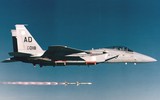 Tình tiết bất ngờ vụ phi công F-18E Mỹ diệt Su-22 Syria vừa qua làm Nga nổi giận  ảnh 8