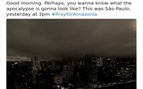Cháy rừng Amazon: Bầu trời Brazil chìm trong khói tro, 3h chiều tối đen như giữa đêm ảnh 8