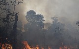 Cháy rừng Amazon: Bầu trời Brazil chìm trong khói tro, 3h chiều tối đen như giữa đêm ảnh 13