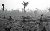 Cháy rừng Amazon: Bầu trời Brazil chìm trong khói tro, 3h chiều tối đen như giữa đêm ảnh 14