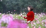 Phụ nữ Công an Thủ đô duyên dáng  ảnh 6