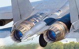 Từ 'con gà đẻ trứng vàng', tiêm kích Su-35 của Nga bất ngờ bị thất thế hàng loạt ảnh 20