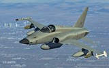 F-5E, từ phận ‘quân xanh’ vụt trở thành tiêm kích chủ lực của nhiều nước ảnh 21