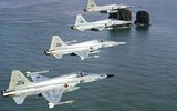 F-5E, từ phận ‘quân xanh’ vụt trở thành tiêm kích chủ lực của nhiều nước ảnh 19