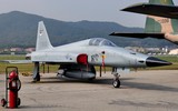 F-5E, từ phận ‘quân xanh’ vụt trở thành tiêm kích chủ lực của nhiều nước ảnh 11