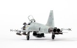 F-5E, từ phận ‘quân xanh’ vụt trở thành tiêm kích chủ lực của nhiều nước ảnh 16