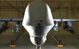 Trùm khủng bố Al Qaeda mất mạng bởi tên lửa Hellfire R9X gắn 6 lưỡi dao thép ảnh 15