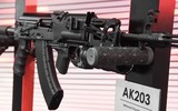 Súng trường tấn công AK-203 được sản xuất với số lượng lớn tại Ấn Độ ảnh 2