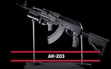 Súng trường tấn công AK-203 được sản xuất với số lượng lớn tại Ấn Độ ảnh 15