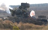 Đức chuyển thêm pháo phòng không Gepard cho Ukraine để diệt UAV tự sát ảnh 14