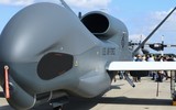 RQ-4 Global Hawk, UAV do thám tàng hình đỉnh cao của Mỹ ảnh 15