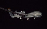 RQ-4 Global Hawk, UAV do thám tàng hình đỉnh cao của Mỹ ảnh 10