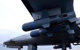 Phiến quân thân Ankara thất bại nặng nề khi chủ động tấn công Ain Issa ảnh 14