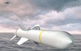 Đại tá Nga: Tên lửa Harpoon của Anh sẽ bị phá hủy ngay khi giao cho Ukraine ảnh 13