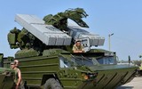 Trực thăng tối tân Ka-52 Nga bị tên lửa phòng không ‘đồ cổ’ Osa Ukraine bắn hạ ảnh 8