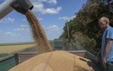 Thỏa thuận xuất khẩu ngũ cốc từ Ukraine tiết lộ chi tiết nguy hiểm đối với Mỹ