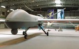 Tình báo Mỹ: Quân đội Nga 'thất vọng lớn' với UAV tấn công Iran ảnh 2