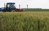 Thị trường ngũ cốc châu Âu 'dậy sóng' sau tuyên bố của Tổng thống Putin ảnh 13