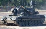 Pháo phòng không Gepard Ukraine phải được Osa-AKM bảo vệ ảnh 12