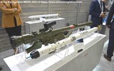 Tên lửa vác vai Piorun Ba Lan 'cháy hàng' sau màn thể hiện tốt trên đất Ukraine ảnh 3
