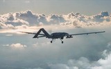 Nguyên soái Ấn Độ: Hiệu quả của UAV Ukraine ở chiến trường miền Đông 'không đáng kể' ảnh 8