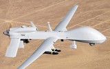 Nguyên soái Ấn Độ: Hiệu quả của UAV Ukraine ở chiến trường miền Đông 'không đáng kể' ảnh 16