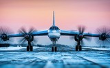 Máy bay ném bom Tu-95 Nga càng cao tuổi... càng đáng sợ ảnh 2