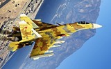 'Đại bàng vàng' Su-37 Berkut - Chiến đấu cơ bí hiểm hàng đầu của Nga ảnh 8