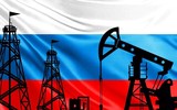Nga nhận trợ giúp từ đối tác bất ngờ để chống lại lệnh cấm vận dầu mỏ của EU ảnh 1