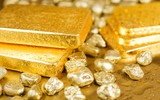 Dự trữ vàng và ngoại hối của Nga vô hiệu hóa biện pháp trừng phạt ảnh 9