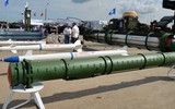 Chuyên gia Nga giải thích vì sao S-350 Vityaz là 'sát thủ tên lửa hành trình' ảnh 2