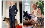 [Ảnh] Vài nét về “gia đình đệ nhất” - chủ nhân mới của Nhà Trắng ảnh 17