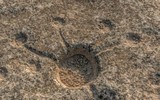 Kỳ bí những bức tranh khắc trên đá ở sa mạc Qatar ảnh 6