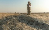 Kỳ bí những bức tranh khắc trên đá ở sa mạc Qatar ảnh 9