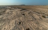 Kỳ bí những bức tranh khắc trên đá ở sa mạc Qatar ảnh 10