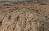 Kỳ bí những bức tranh khắc trên đá ở sa mạc Qatar ảnh 14