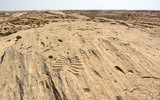 Kỳ bí những bức tranh khắc trên đá ở sa mạc Qatar ảnh 4