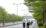 Hà Nội đẹp ngỡ ngàng dưới những hàng cây ảnh 15