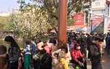 Phủ Tây Hồ tấp nập người đến lễ ngày cuối tuần ảnh 9