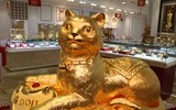 Cận cảnh tượng mèo vàng 'Kim Mão Vương Bảo' nặng 48kg ngày vía Thần Tài ảnh 2