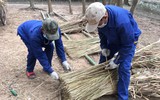 Những 'kiến trúc sư' còn sót lại của nhà dài Ê-đê ảnh 11