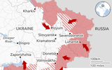 Xung đột Nga-Ukraine: Sau Mariupol là Donbass ảnh 6