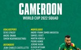 Danh sách toàn bộ 32 đội tuyển dự World Cup 2022 ảnh 26