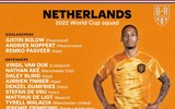 Danh sách toàn bộ 32 đội tuyển dự World Cup 2022 ảnh 2