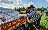 [Ảnh] Công an Thủ đô đội nắng, thâu đêm cứu lúa giúp nông dân trong khu phong tỏa ảnh 16