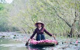 Ngỡ ngàng với cảnh đẹp như tranh của suối Yến chùa Hương mùa hoa súng tháng 11 ảnh 2