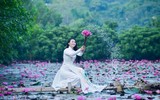 Ngỡ ngàng với cảnh đẹp như tranh của suối Yến chùa Hương mùa hoa súng tháng 11 ảnh 13