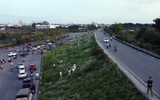 Ngắm triền đê cỏ lau trắng muốt tuyệt đẹp bên sông Hồng lúc chiều tà ảnh 1