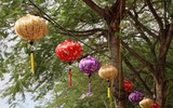 Cận cảnh phố đi bộ tuyệt đẹp bên hồ Trúc Bạch sẽ khai trương cuối năm 2022 ảnh 11